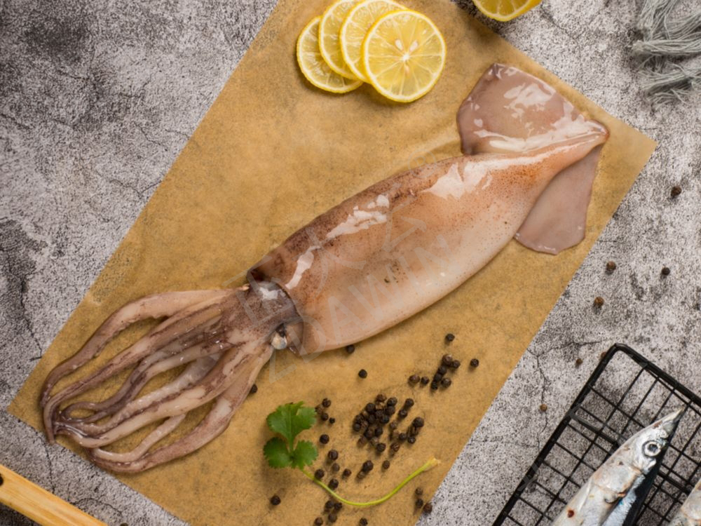 魷魚保水劑 魷魚保水劑